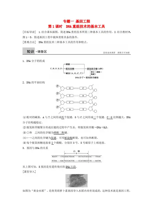高中生物 专题一 基因工程 第1课时 DNA重组技术的基本工具学案 新人教版选修3