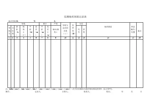 野外地质编录表