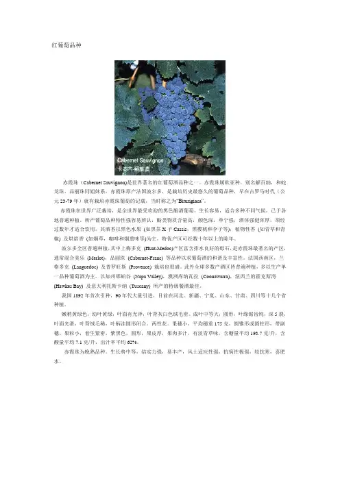 红白葡萄品种