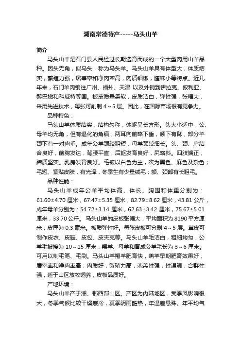 湖南常德特产-----马头山羊