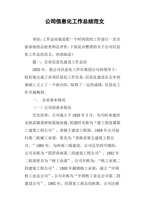 公司信息化工作总结范文