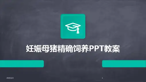 2024年度妊娠母猪精确饲养PPT教案