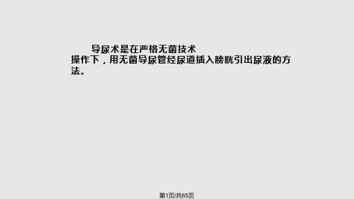 导尿术操作及注意事项PPT课件