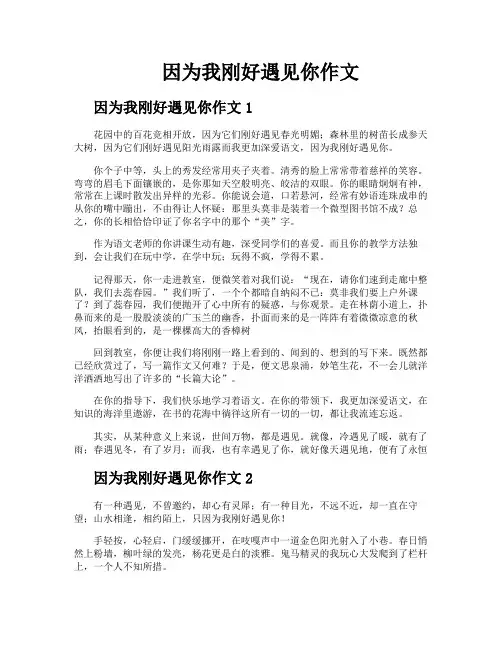 因为我刚好遇见你作文