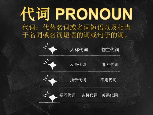 代词 专题讲解