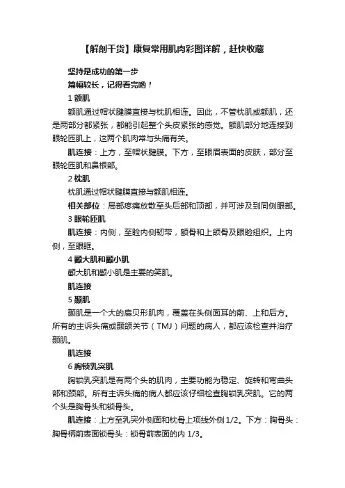 【解剖干货】康复常用肌肉彩图详解，赶快收藏