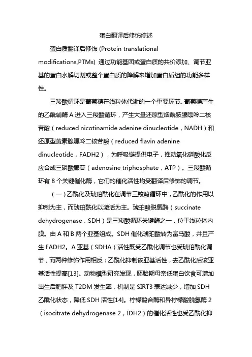 蛋白翻译后修饰综述