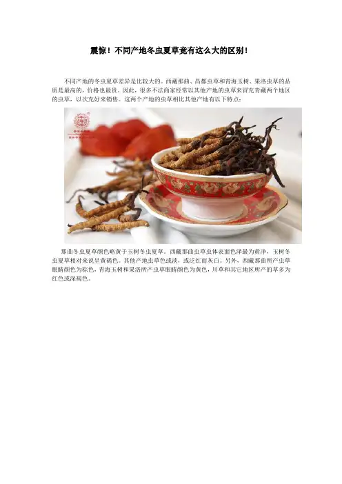 震惊!不同产地的冬虫夏草竟有这么大的区别!