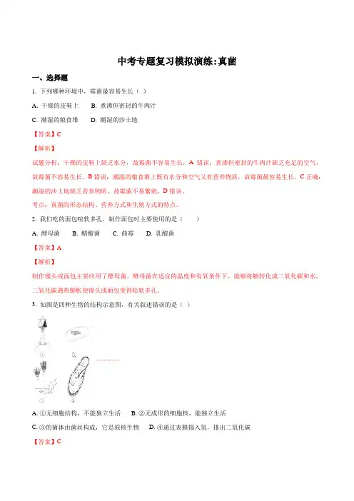 2018年中考生物专题复习模拟演练：真菌(解析版)