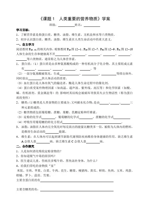 九年级化学第十二单元学案