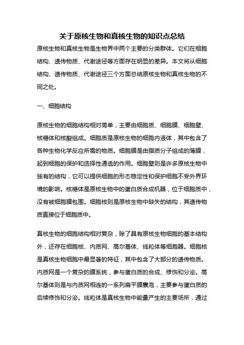 关于原核生物和真核生物的知识点总结