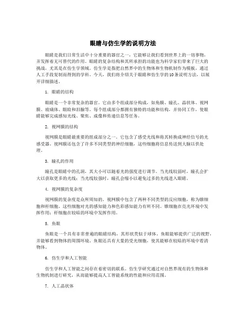眼睛与仿生学的说明方法
