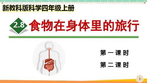 新教科版科学四年级上册《食物在身体里的旅行》优质课件