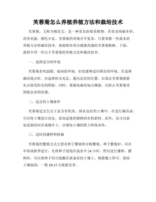 芙蓉菊怎么养植养植方法和栽培技术