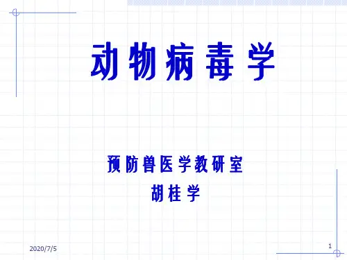 动物病毒学课件：动物微生物学试题解析【1、2次】