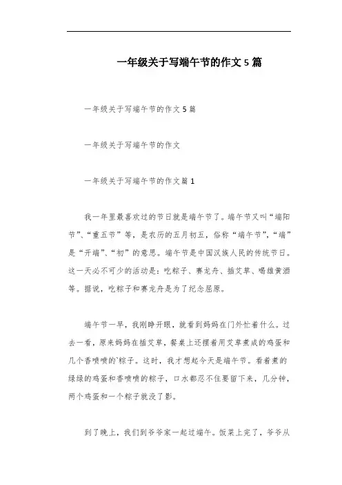 一年级关于写端午节的作文5篇