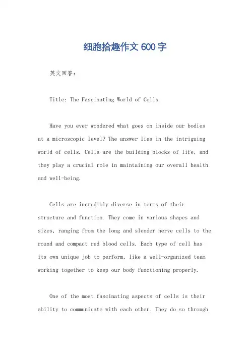 细胞拾趣作文600字