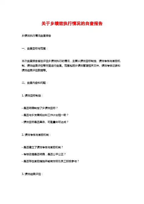 关于乡绩效执行情况的自查报告