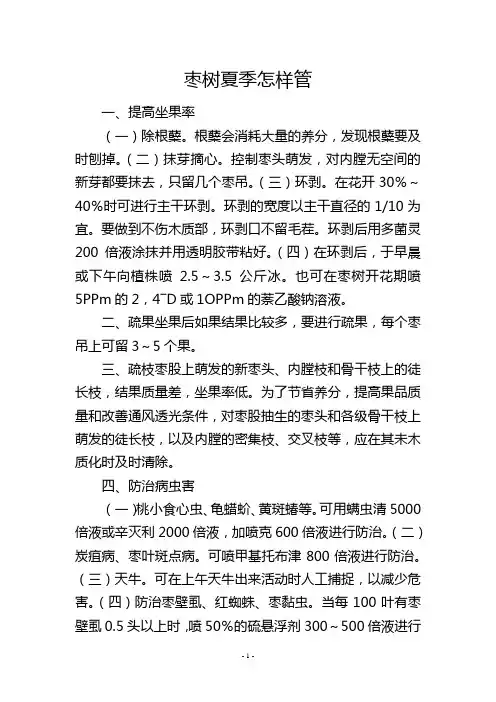 枣树夏季怎样管