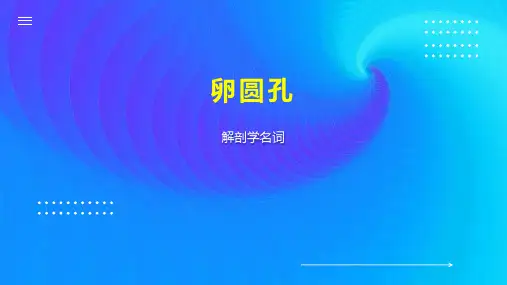 卵圆孔    