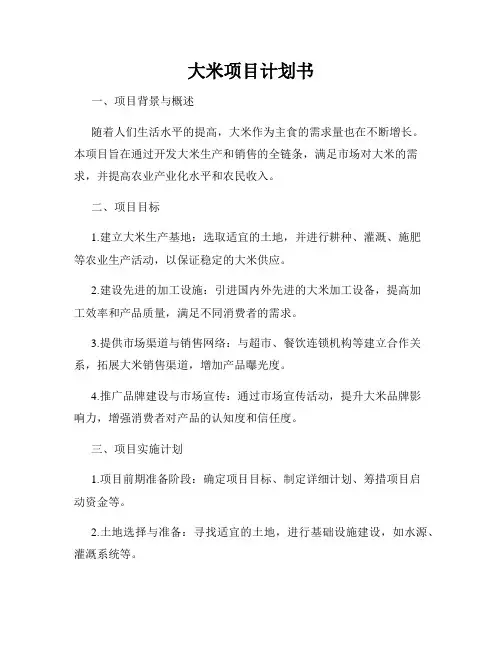 大米项目计划书
