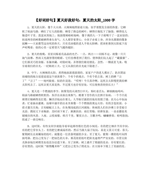 【好词好句】夏天好段好句：夏天的太阳_1000字