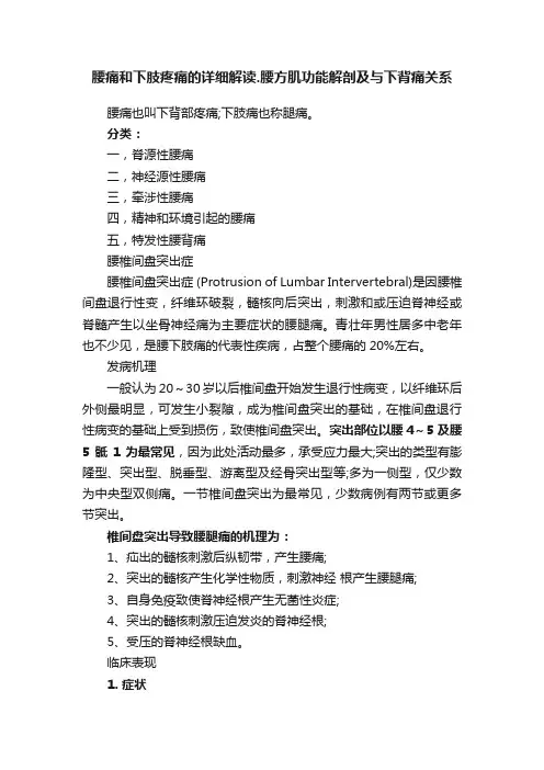 腰痛和下肢疼痛的详细解读.腰方肌功能解剖及与下背痛关系