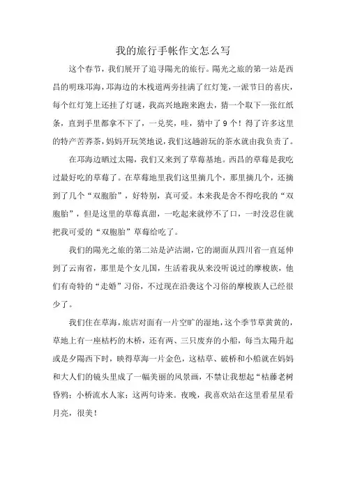 我的旅行手帐作文怎么写