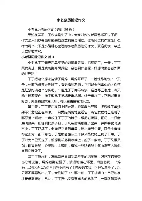 小老鼠历险记作文