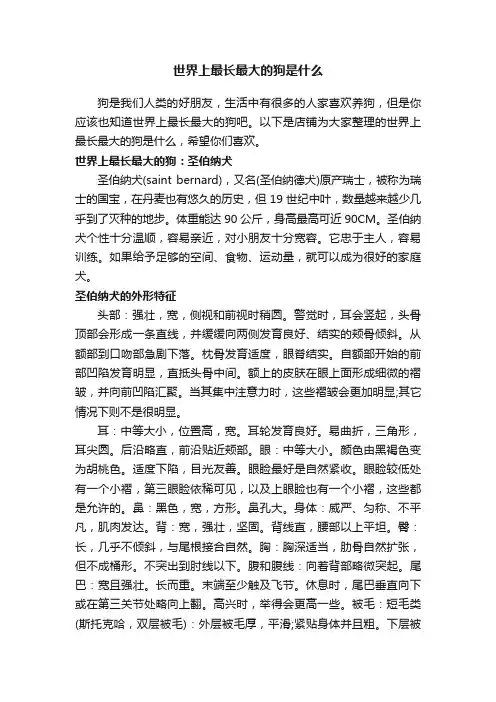 世界上最长最大的狗是什么