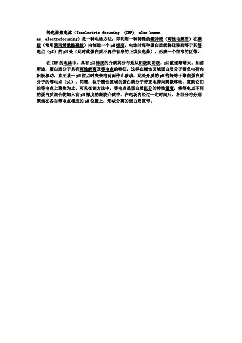 等电聚焦电泳名词解释