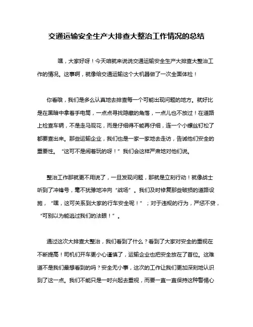 交通运输安全生产大排查大整治工作情况的总结