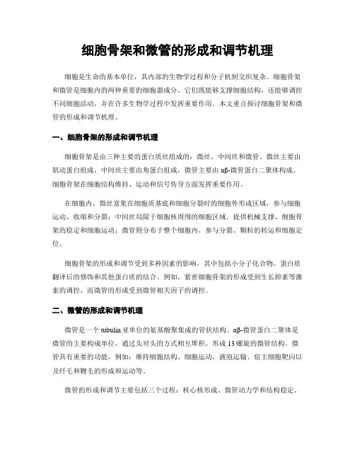 细胞骨架和微管的形成和调节机理