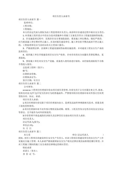 项目负责人承诺书