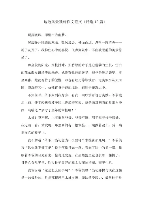 这边风景独好作文范文(精选12篇)精选