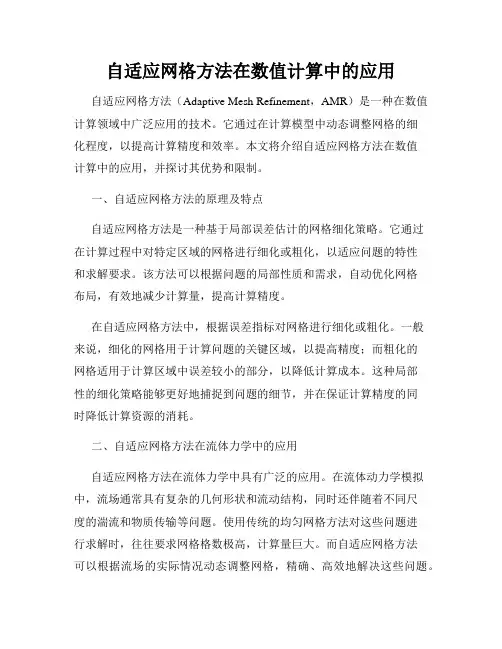 自适应网格方法在数值计算中的应用