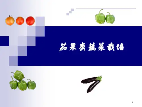 茄果类蔬菜栽培(PPT课件)