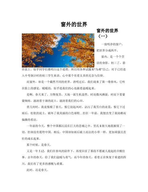 窗外的世界(共10篇)