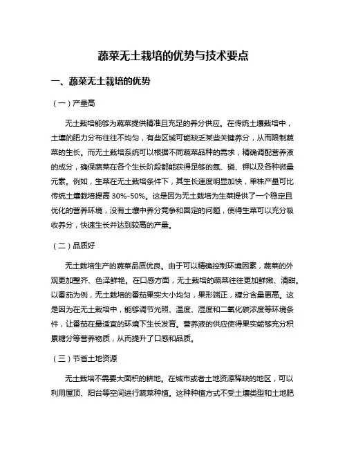 蔬菜无土栽培的优势与技术要点