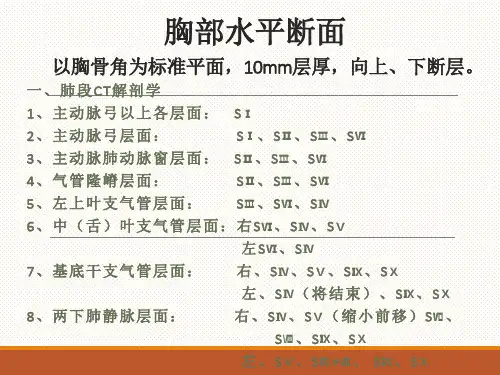 胸部水平断面解剖