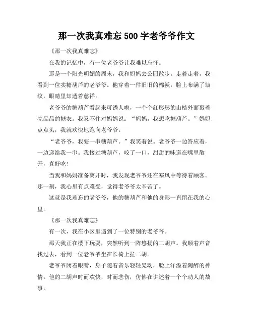 那一次我真难忘500字老爷爷作文