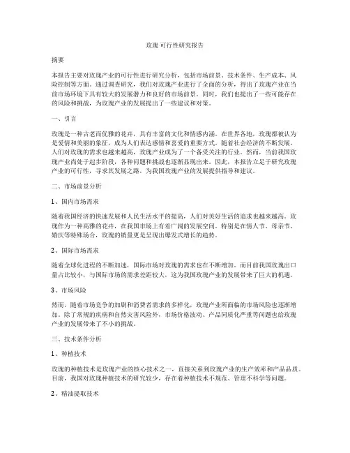 玫瑰 可行性研究报告