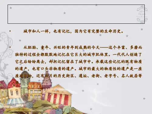 上海新天地旧城规划改造ppt课件