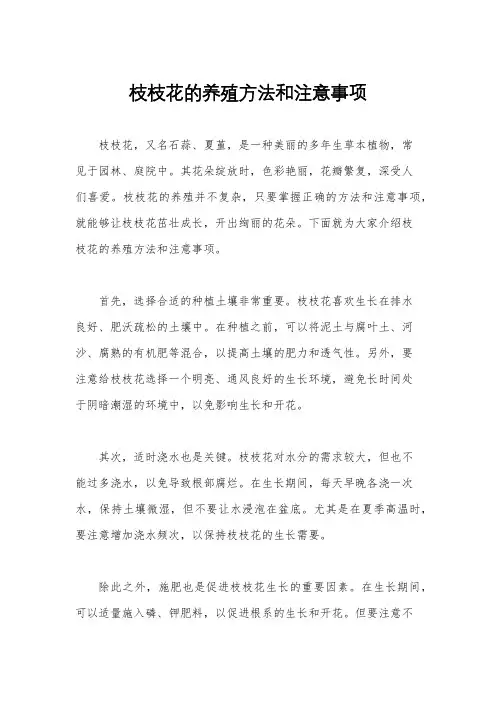 枝枝花的养殖方法和注意事项