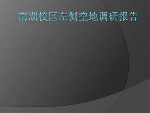 南湖校区左侧空地调研报告
