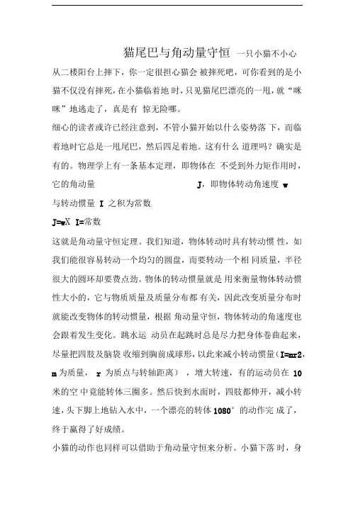 猫尾巴与角动量守恒