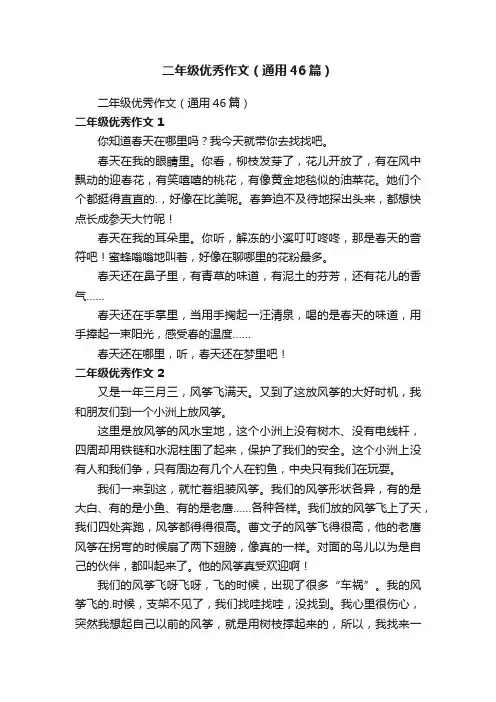 二年级优秀作文（通用46篇）