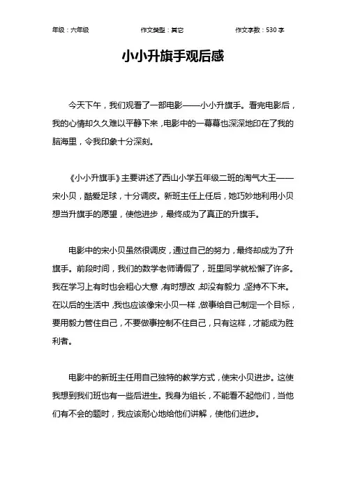小小升旗手观后感作文【小学六年级500字】