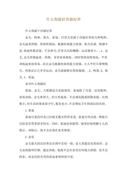 什么狗最好养最好养