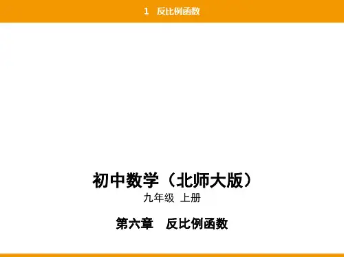 北师大版九年级数学上册反比例函数